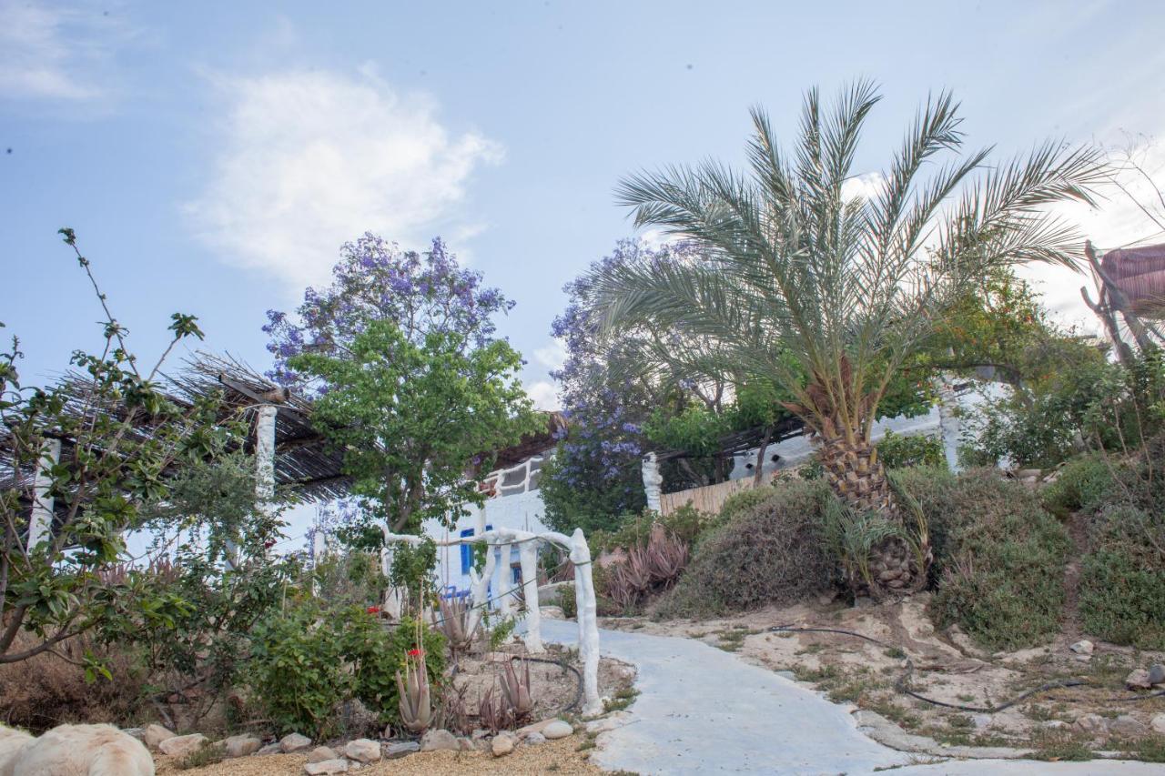 Casa Rural Aloe Vera Huércal-Overa Dış mekan fotoğraf