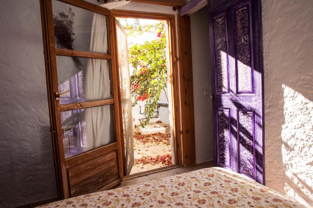 Casa Rural Aloe Vera Huércal-Overa Dış mekan fotoğraf