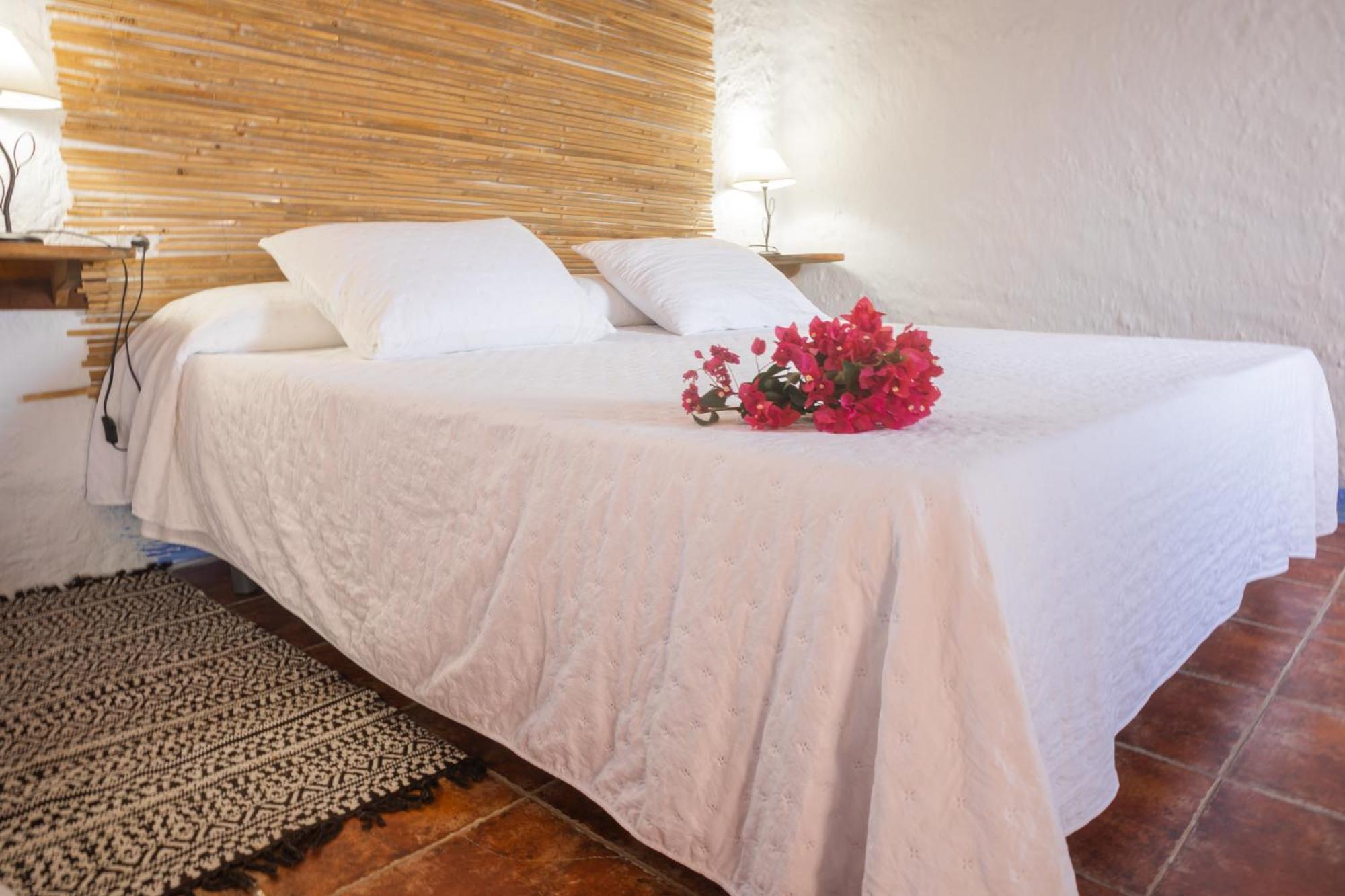 Casa Rural Aloe Vera Huércal-Overa Dış mekan fotoğraf