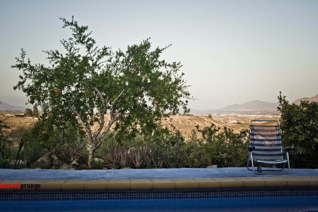 Casa Rural Aloe Vera Huércal-Overa Dış mekan fotoğraf