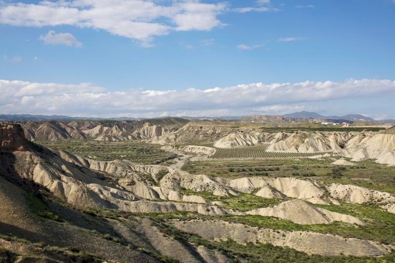 Casa Rural Aloe Vera Huércal-Overa Dış mekan fotoğraf