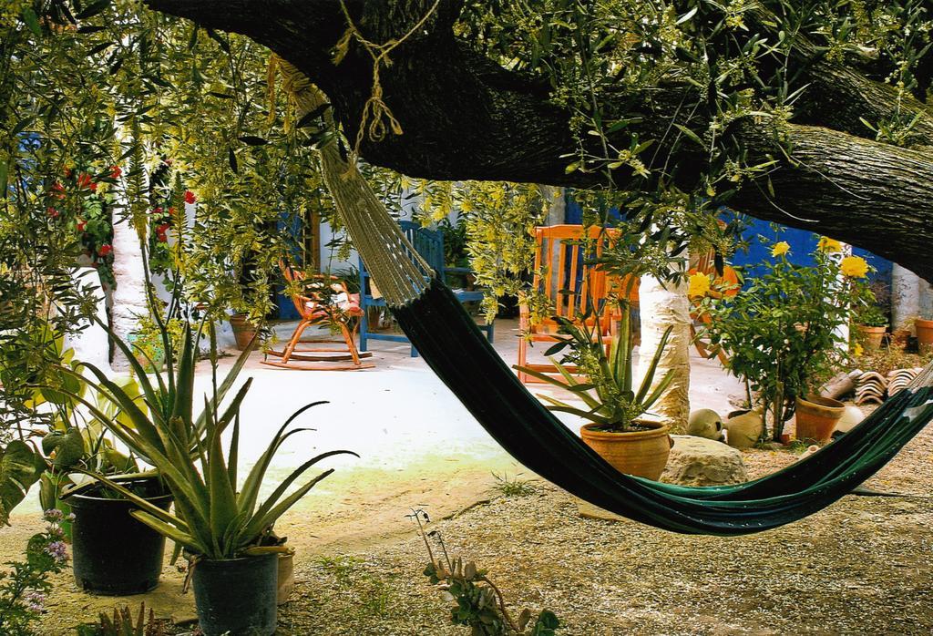 Casa Rural Aloe Vera Huércal-Overa Dış mekan fotoğraf