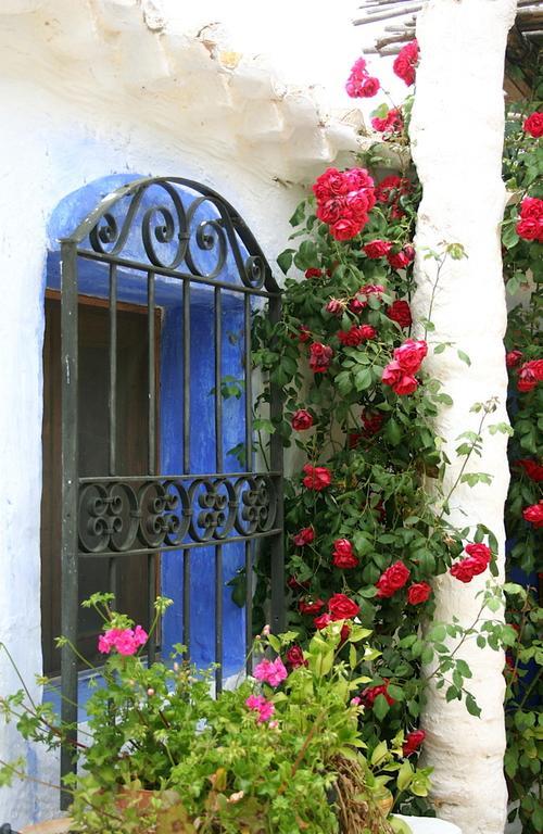 Casa Rural Aloe Vera Huércal-Overa Dış mekan fotoğraf