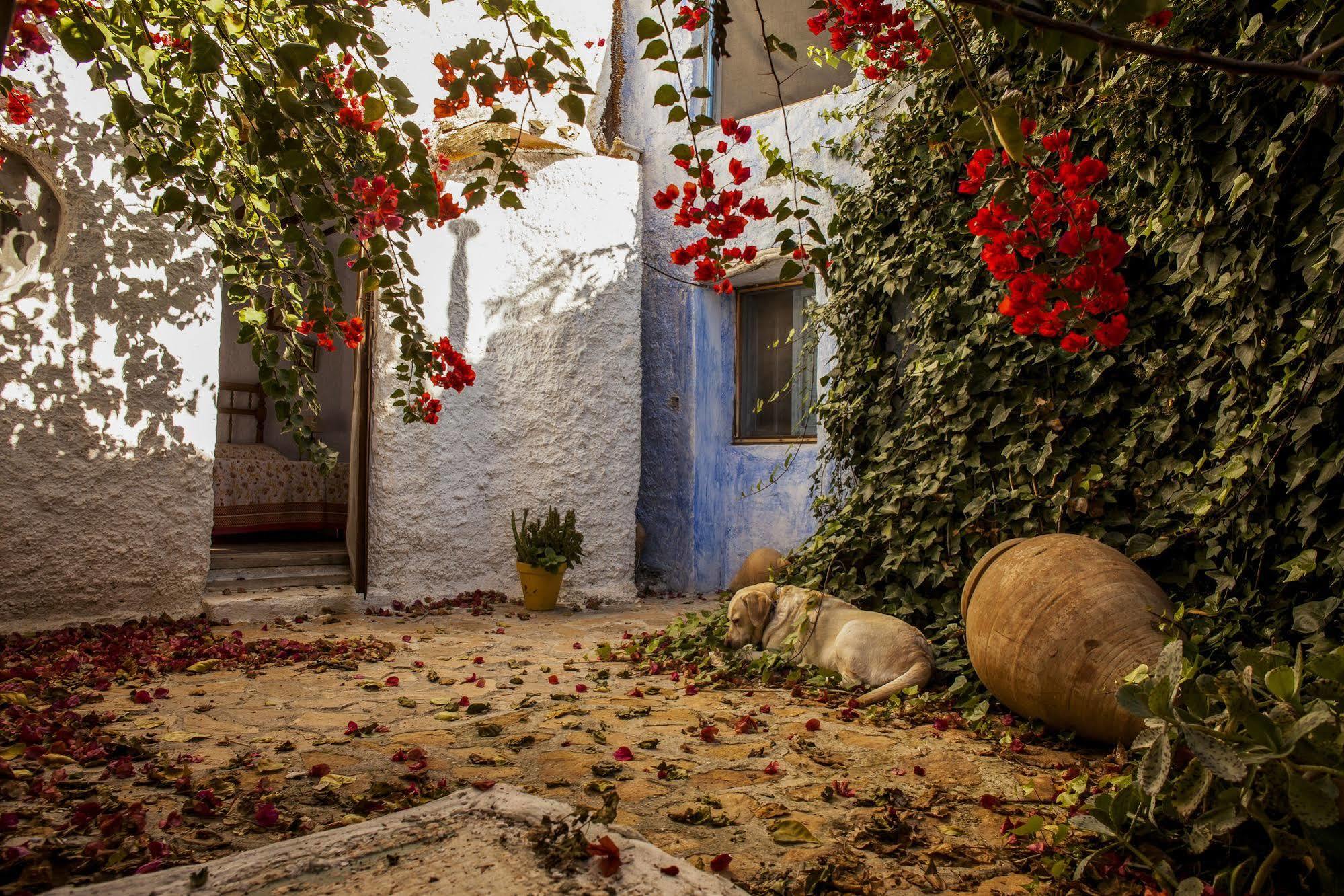 Casa Rural Aloe Vera Huércal-Overa Dış mekan fotoğraf