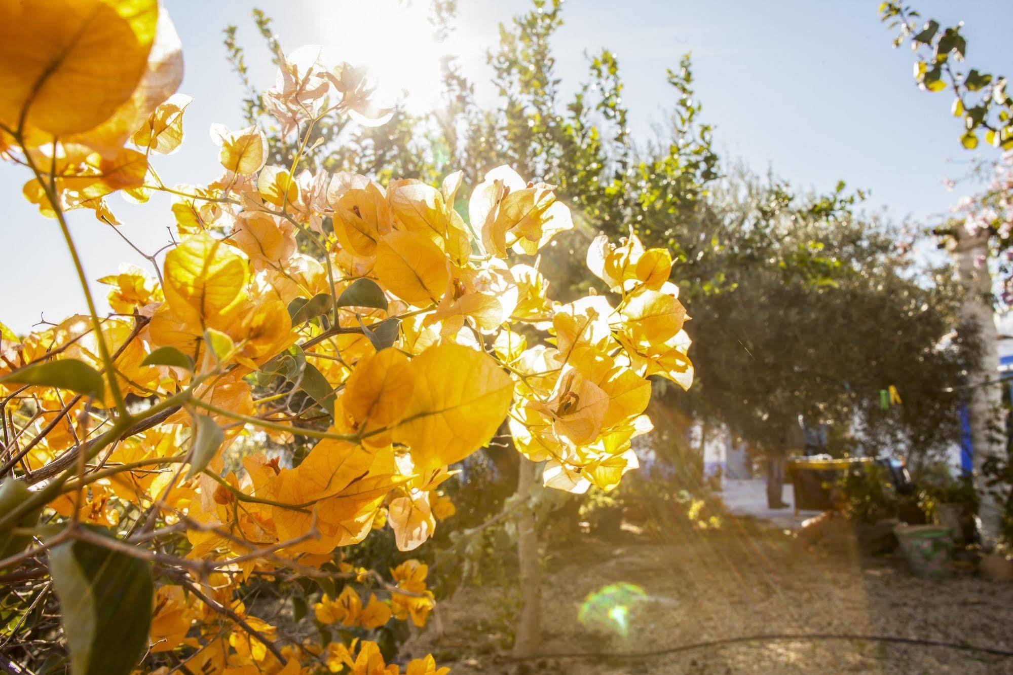 Casa Rural Aloe Vera Huércal-Overa Dış mekan fotoğraf